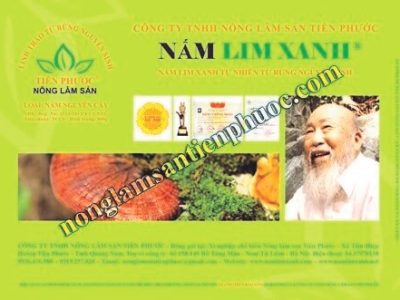 Nấm lim xanh loại Nguyên Cây